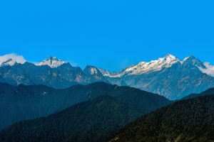 Professional Sikkim Online Betting: Complete 2026 Guide for Indian Players