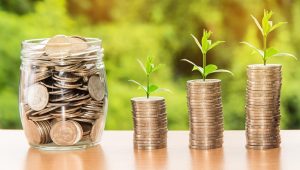 Vip Online Live Casino Investment Review 2026: Bonus, App, Withdrawal Tested